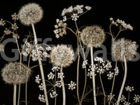 Elegant botanical wall covering.

