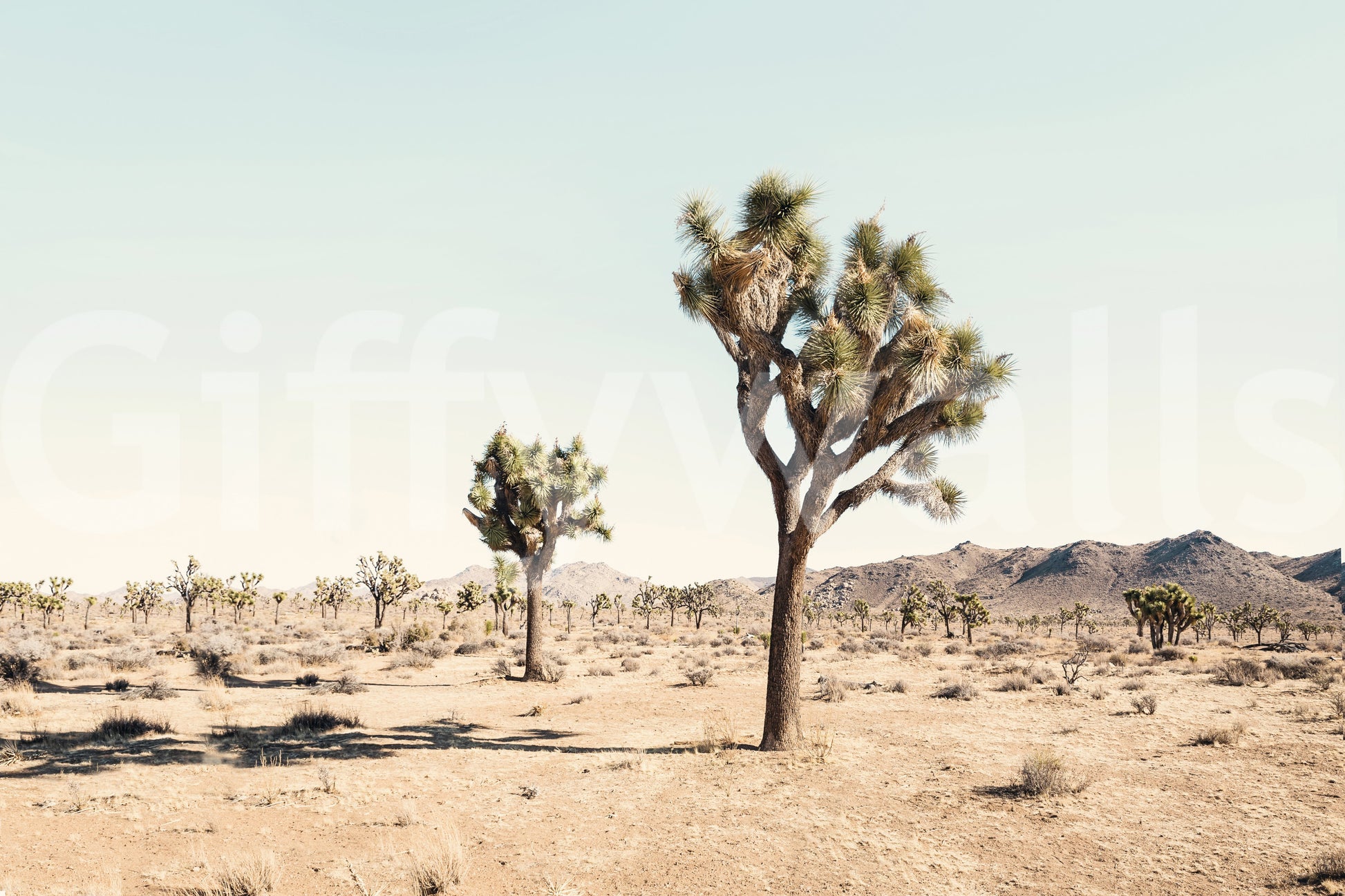 Wall decor evoking serenity and natural beauty.

