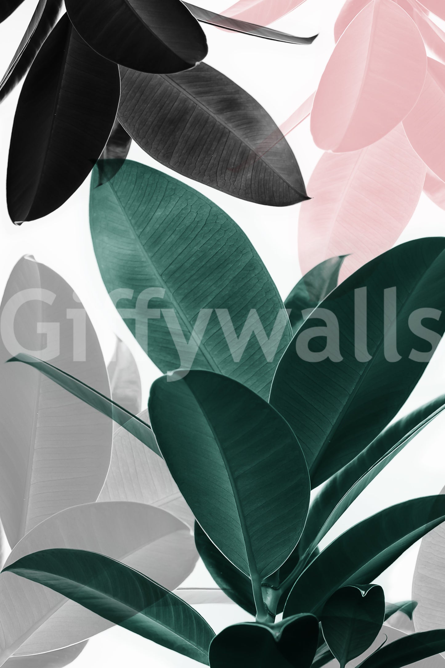 Wall decor evoking liveliness and a connection to nature.

