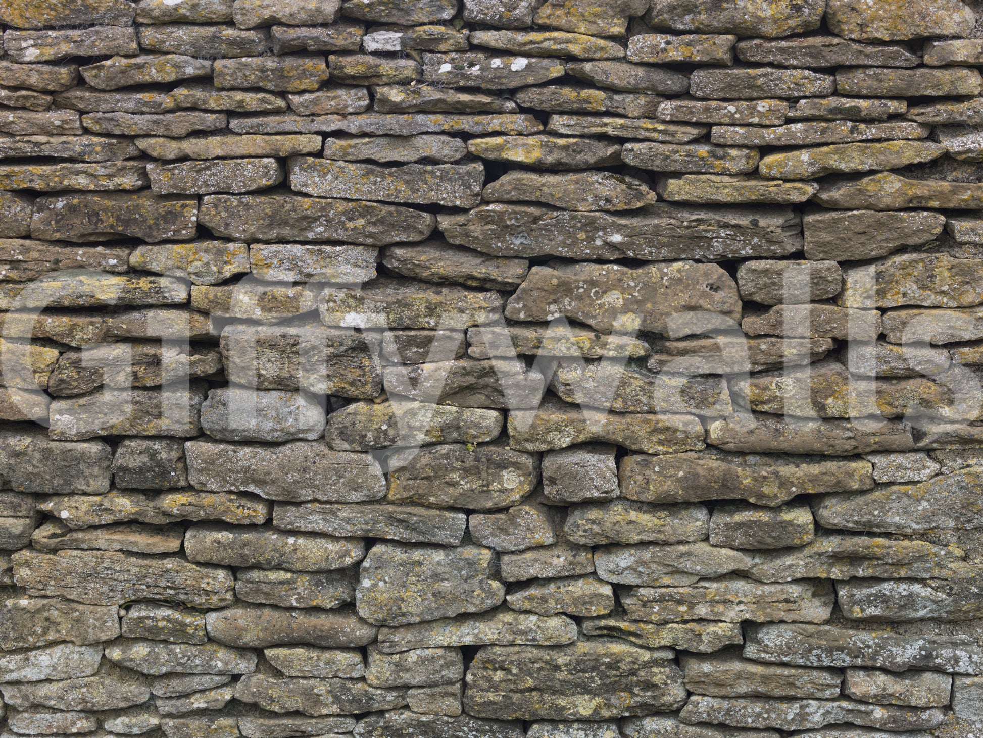 Grounded and timeless aesthetic.