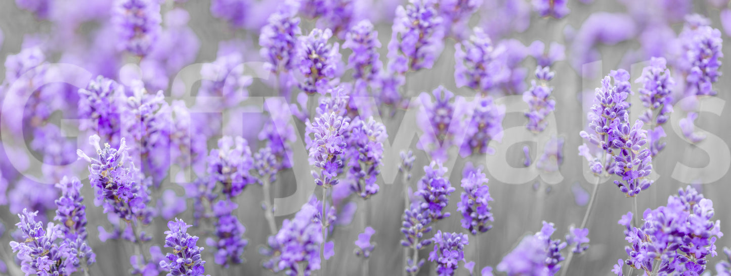 Wall decor evoking countryside serenity.

