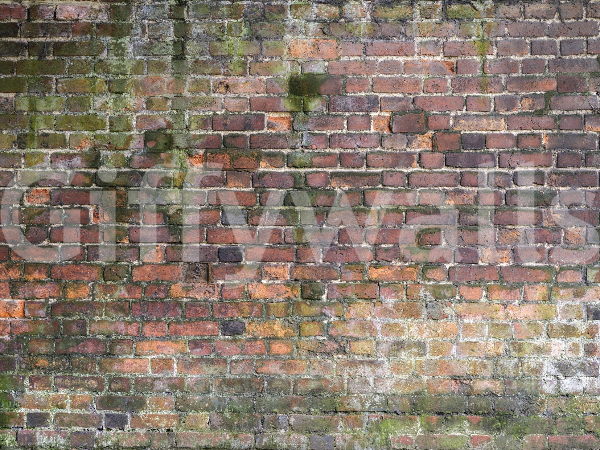 High-resolution weathered surface.

