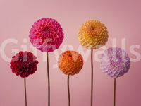 Vibrant and inspiring aesthetic.

