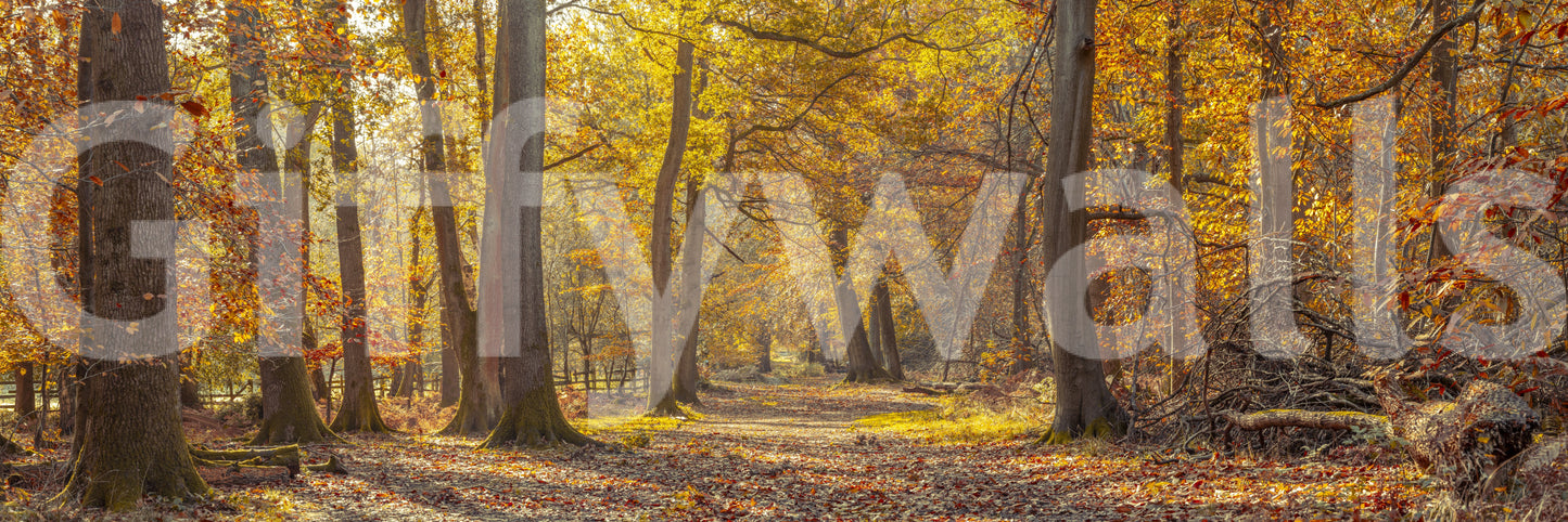 Focus on autumnal colors and natural light.

