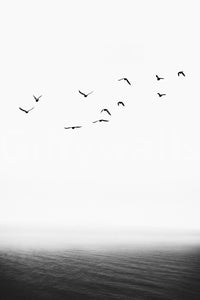 The texture appears smooth and artistic, like a painting or detailed illustration.
