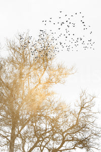 The texture appears smooth and artistic, like a painting or detailed illustration.
