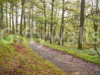 The feeling is one of peace and wonder.

