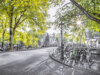 The light creates a strong contrast in the image.

