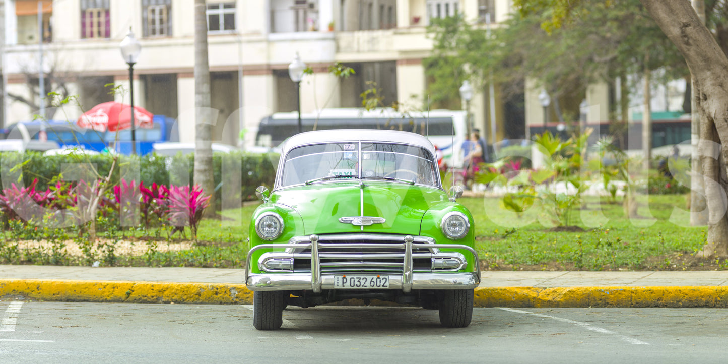 The design is realistic and detailed.

