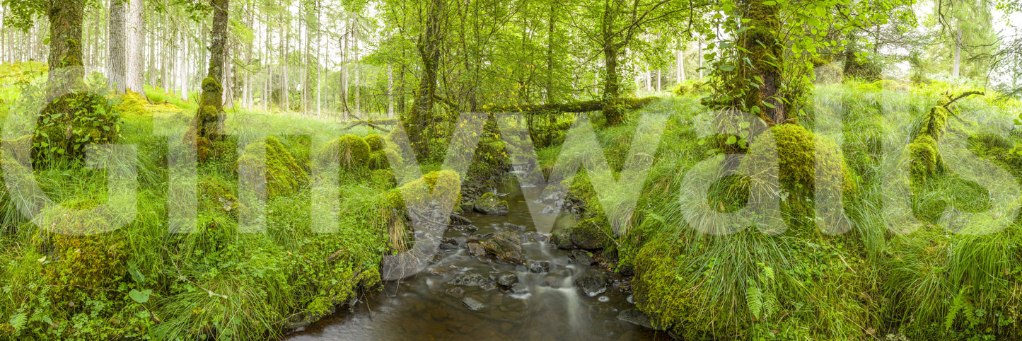 The composition is dynamic and full of depth.

