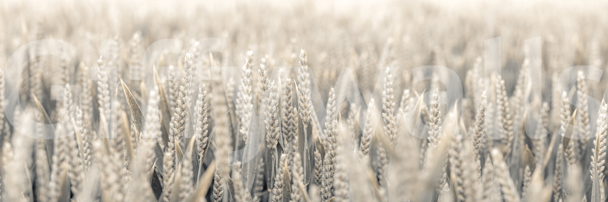 The mural acts as a calming and natural focal point.