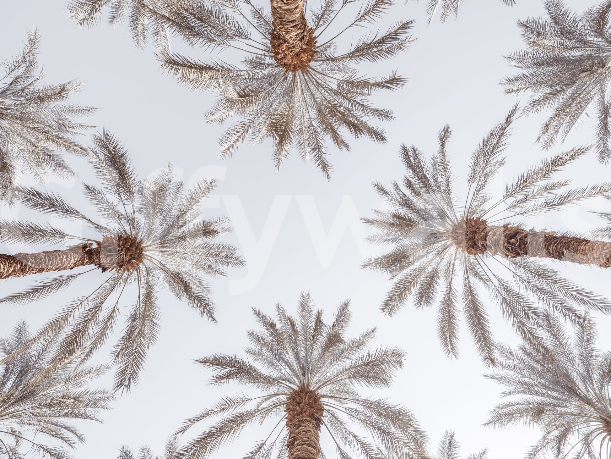 The design is non-realistic and interpretive.

