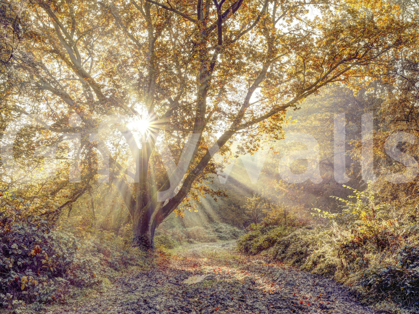 The design is non-realistic and interpretive.

