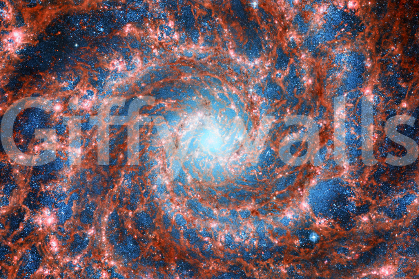 Celestial Dance Wall Mural