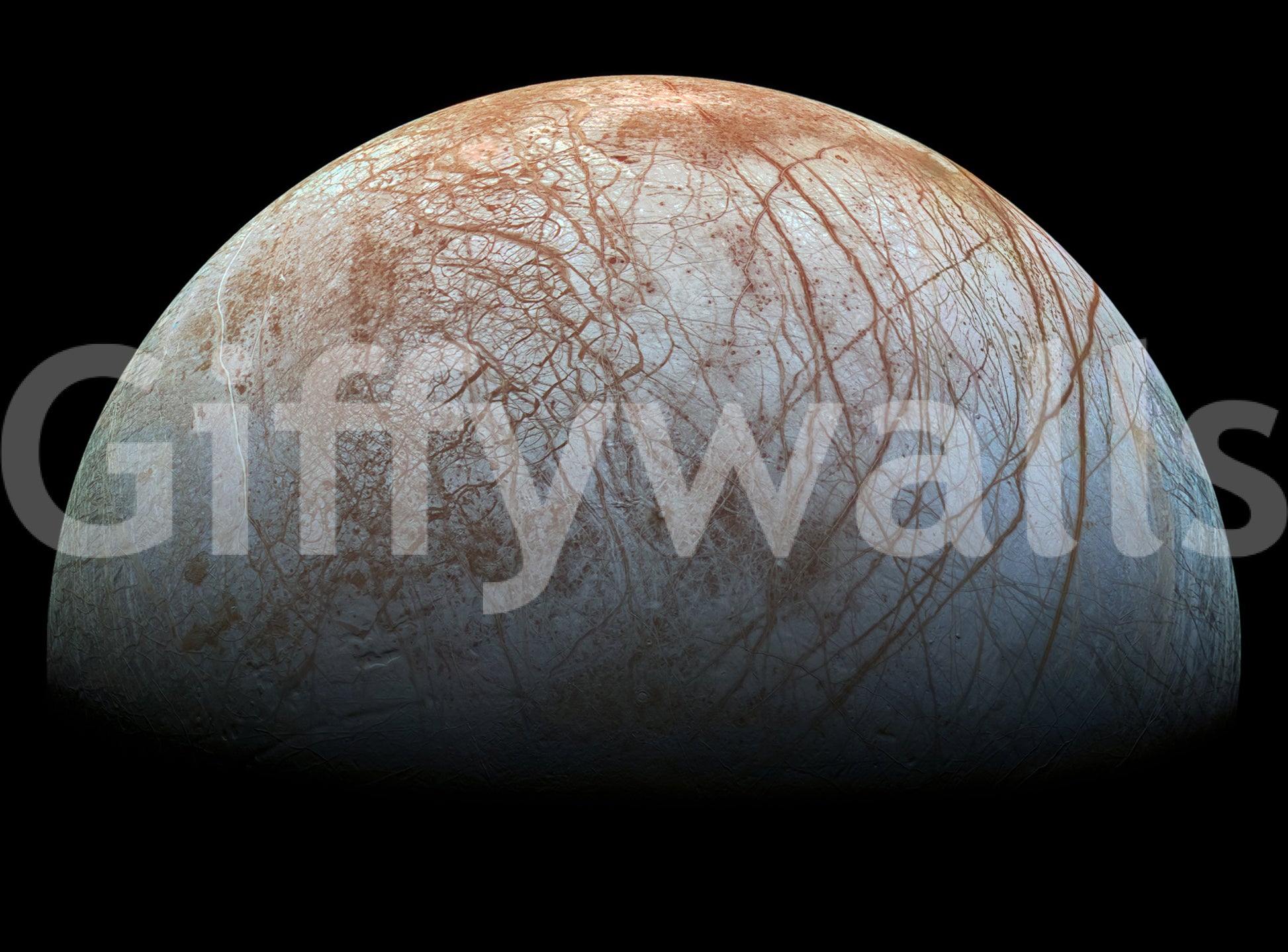 It's a great choice for a peaceful, natural design.







