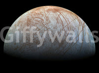 It's a great choice for a peaceful, natural design.







