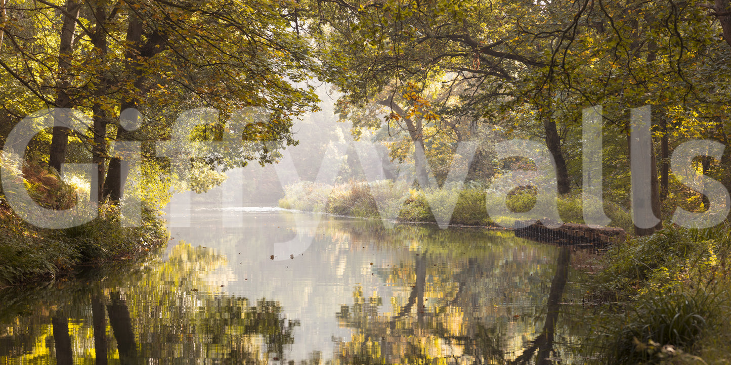 The image feels peaceful and restful.

