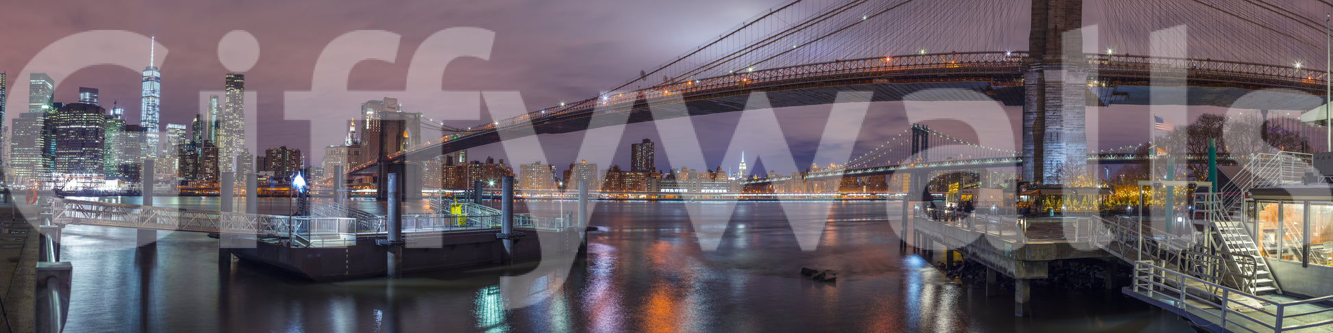 The image feels bold and contemporary.

