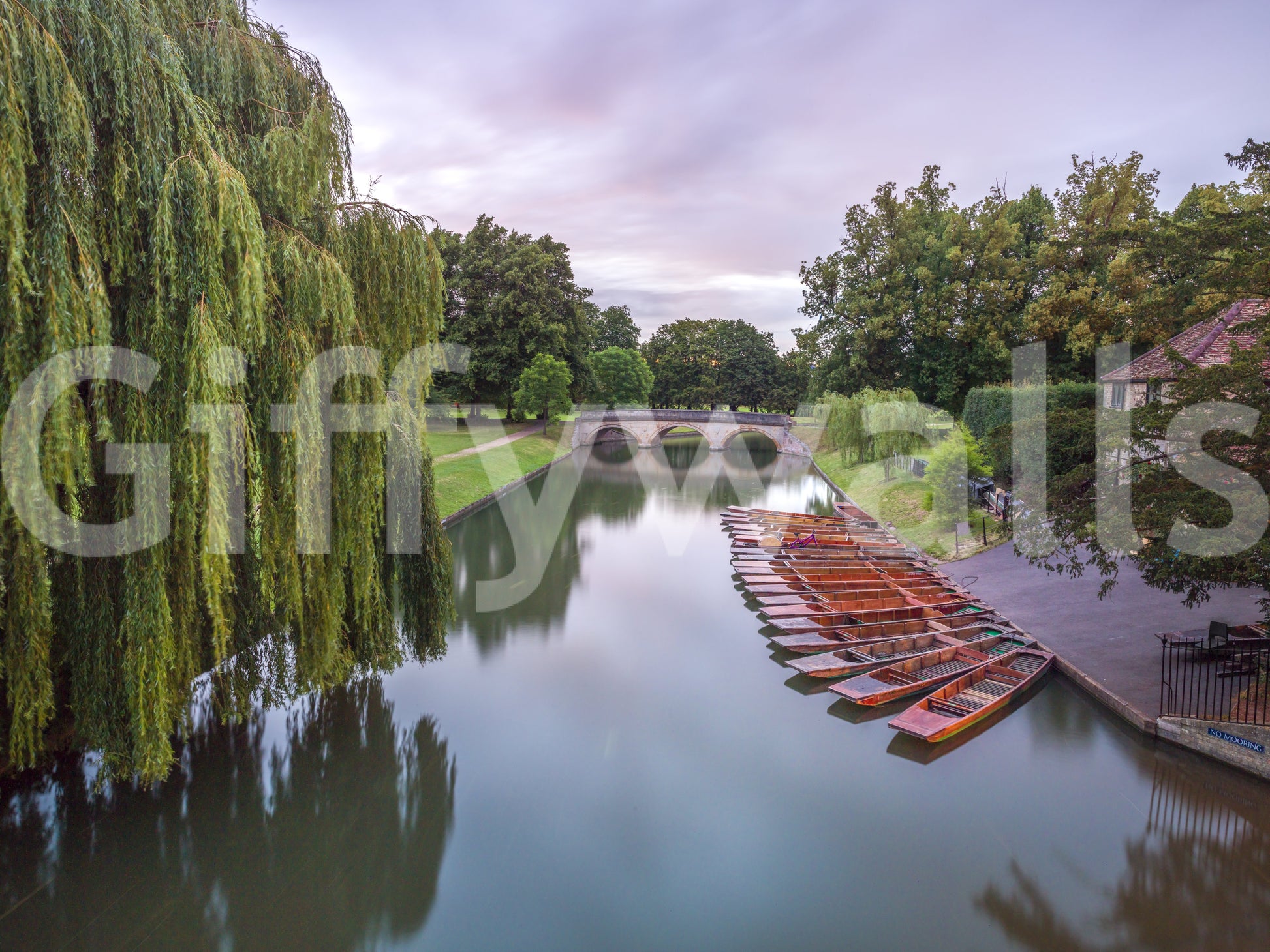 The image feels peaceful and restful.

