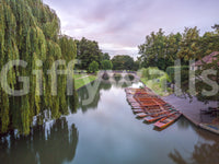 The image feels peaceful and restful.

