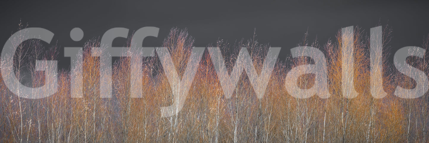 The image is suitable for a bedroom or a living space.