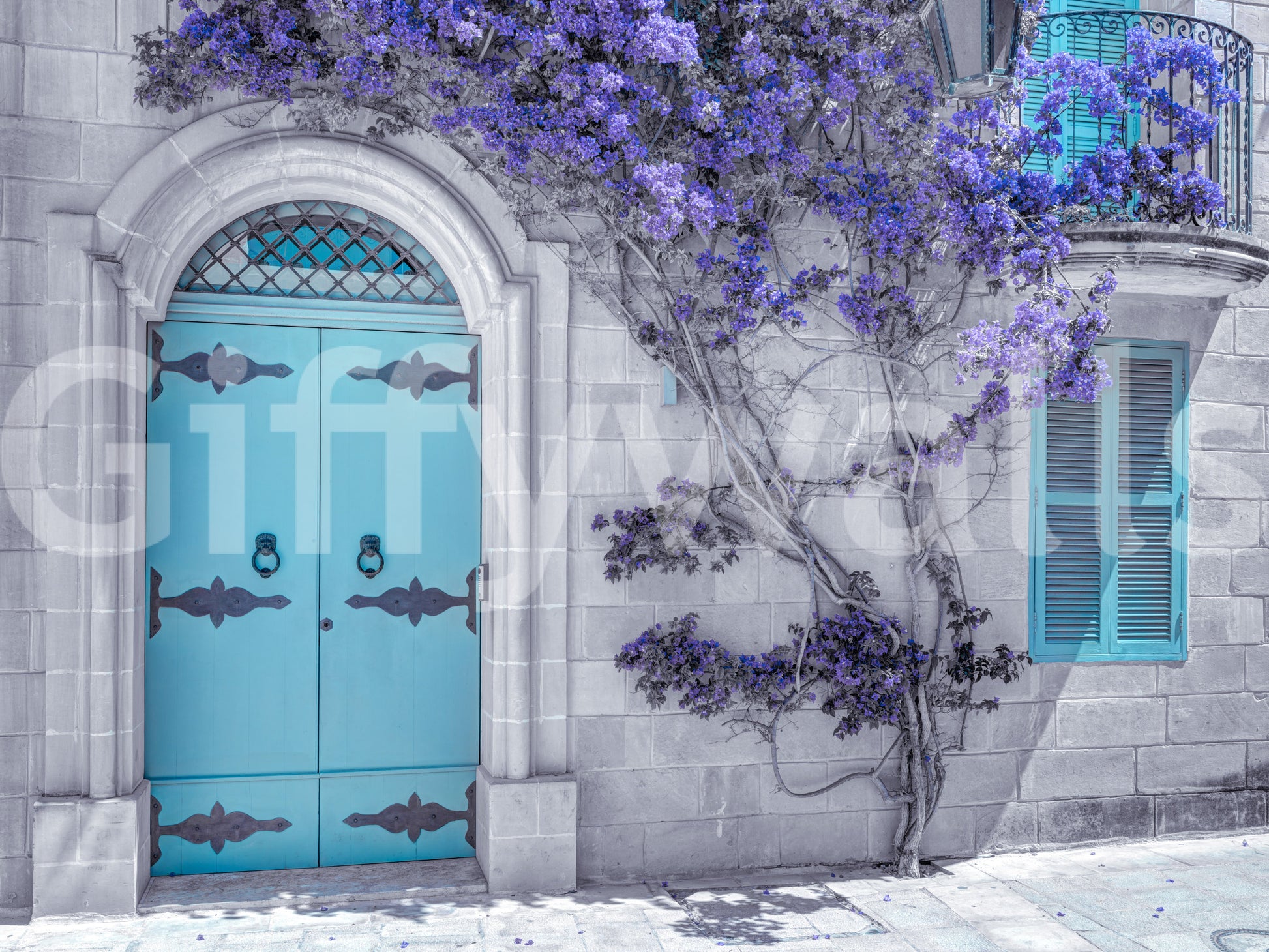 The image feels peaceful and restful, like a quiet street.

