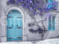 The image feels peaceful and restful, like a quiet street.

