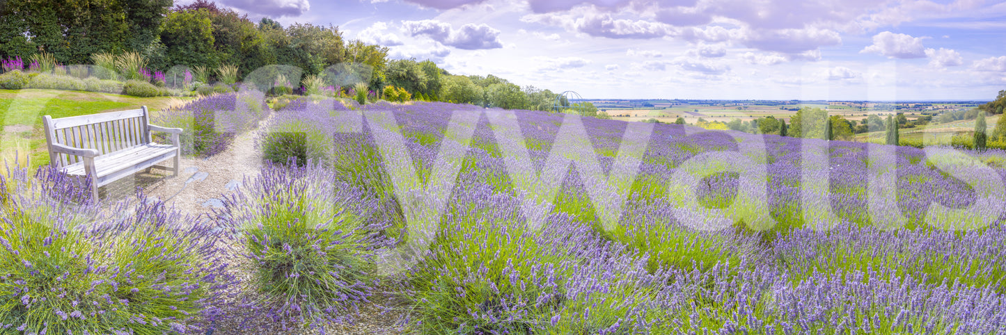 The image feels peaceful and restful.

