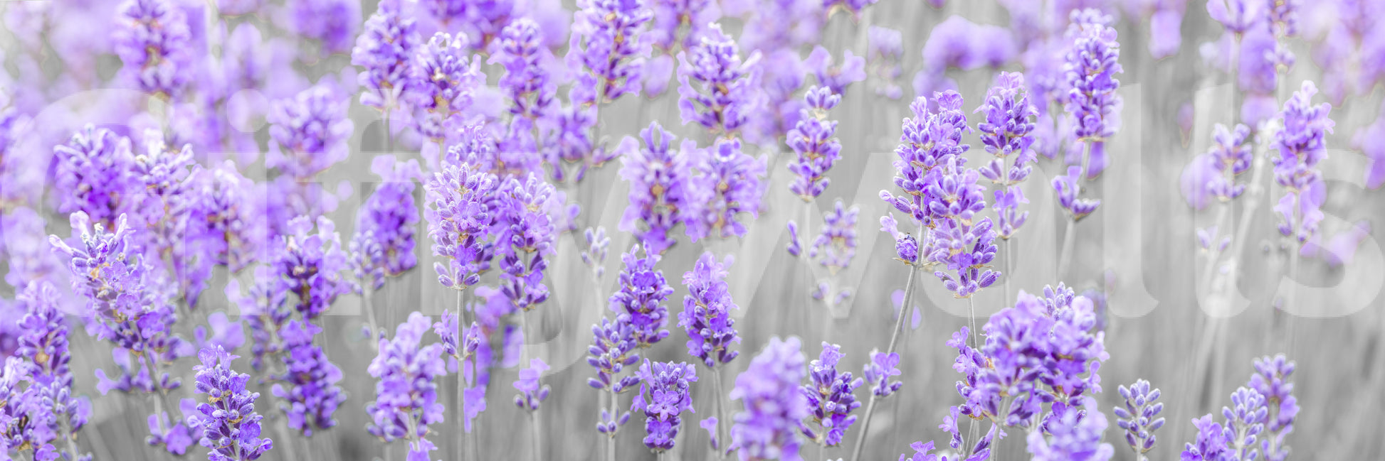 A detail of the warm tones in the flowers and greenery.


