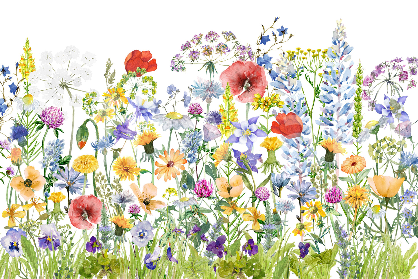 Scandinavian Watercolor Meadow Poppies with Colorful Wildflowers Wall Mural