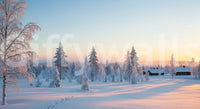This is the Snowy Forest Sunrise winter wall mural.