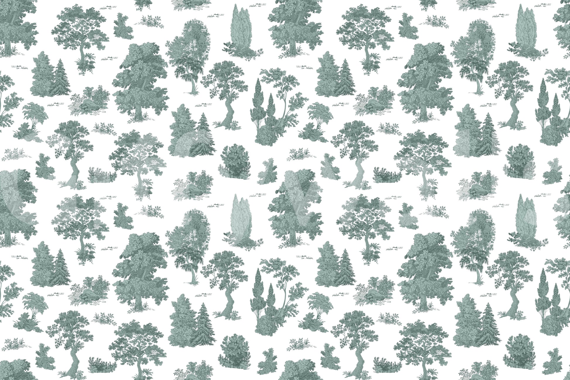 Verdant grove, peaceful and calm

