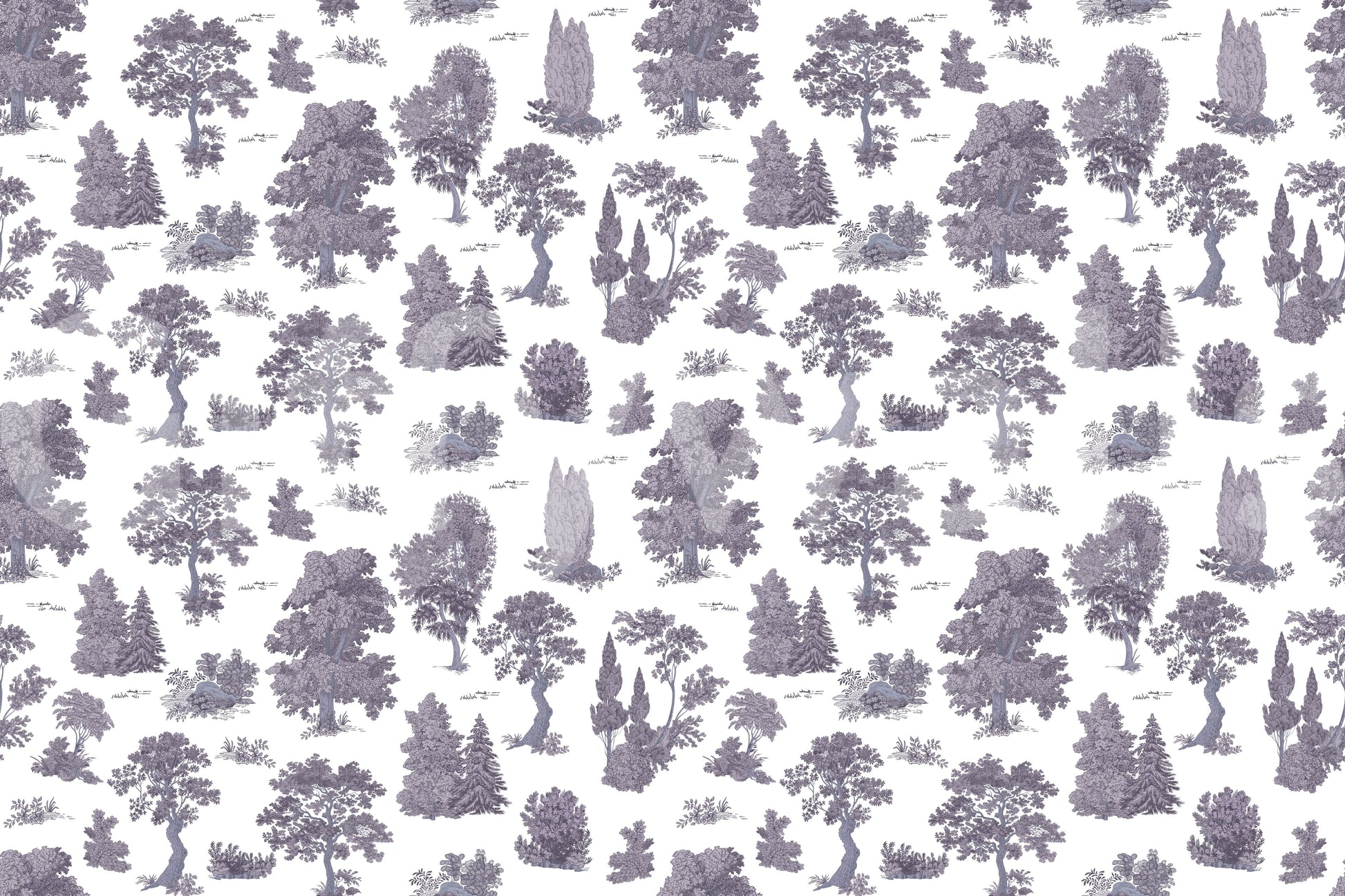 Enchanted grove, peaceful and calm

