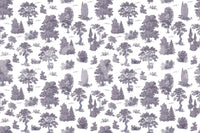 Enchanted grove, peaceful and calm

