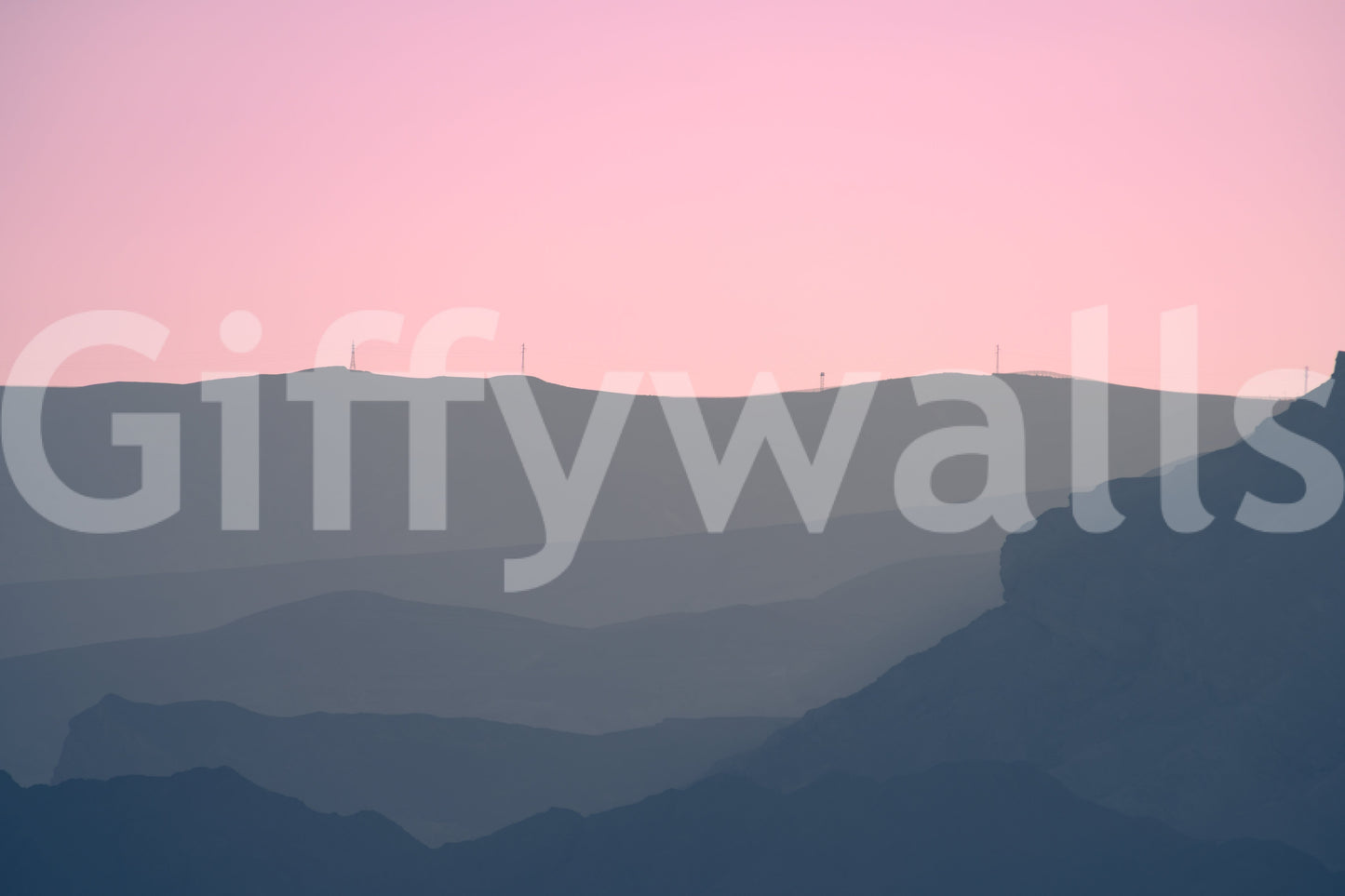 A detail of the brushstrokes and tones in the design.