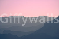 A detail of the brushstrokes and tones in the design.