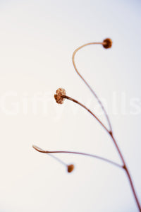 A detail of the organic forms in the design.