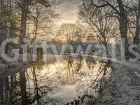 A detail of the warm tones in the scene.

