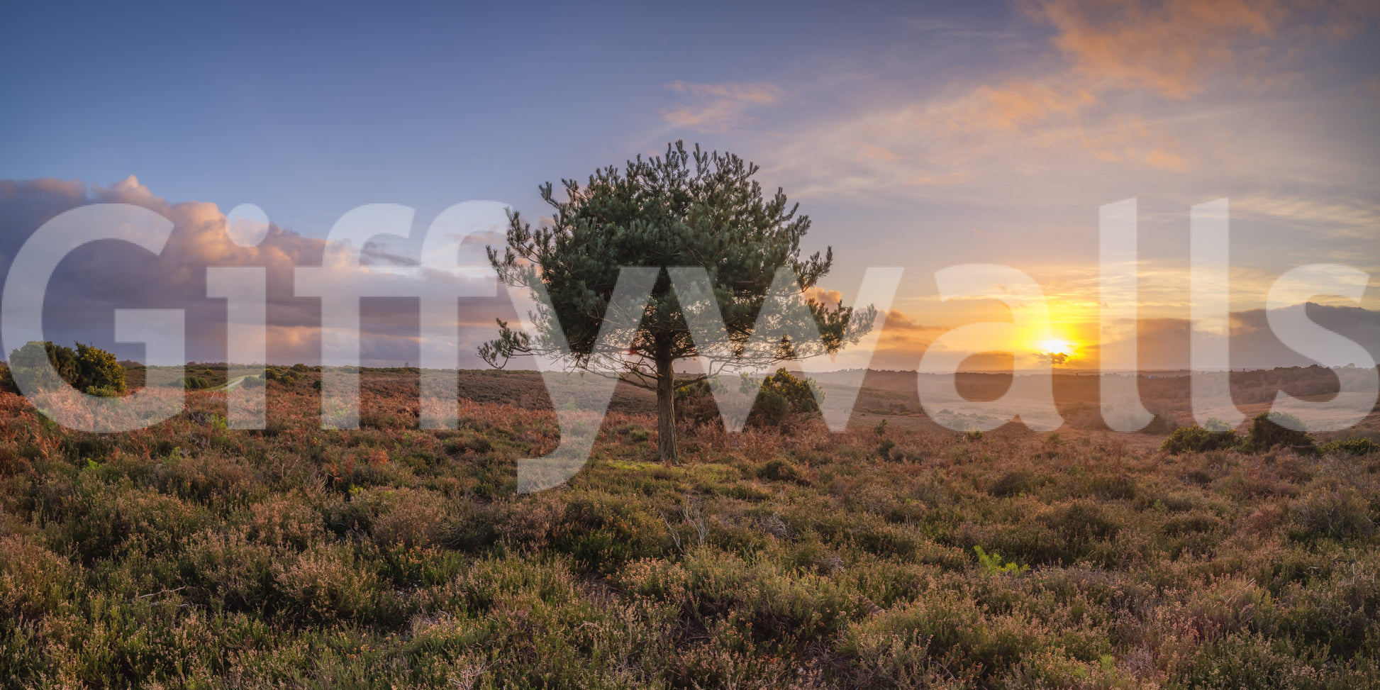 A high-quality sunset landscape wall mural for walls.

