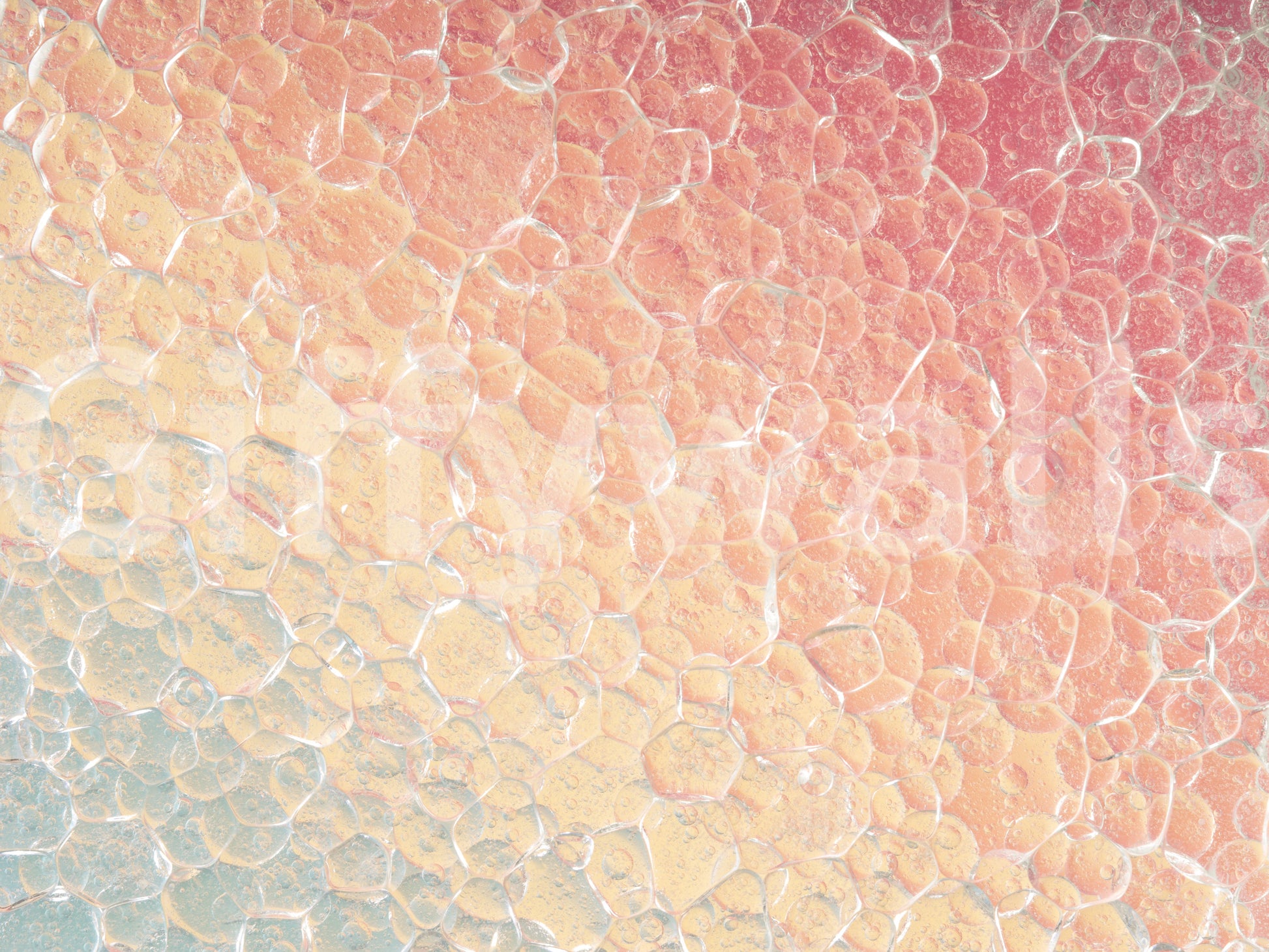 A high-quality minimalist wall mural for walls.

