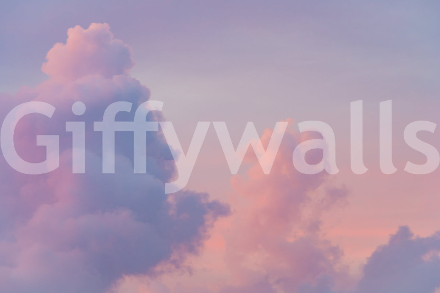 A high-quality serene cloud wall mural for walls.

