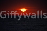 A modern artistic wall mural for home wallpaper.

