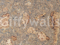 A high-quality rustic wood wall mural for walls.

