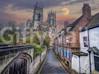 A high-quality gothic cathedral wall mural for walls.

