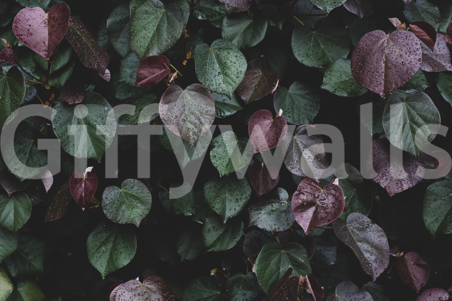 A high-quality minimalist wall mural for walls.

