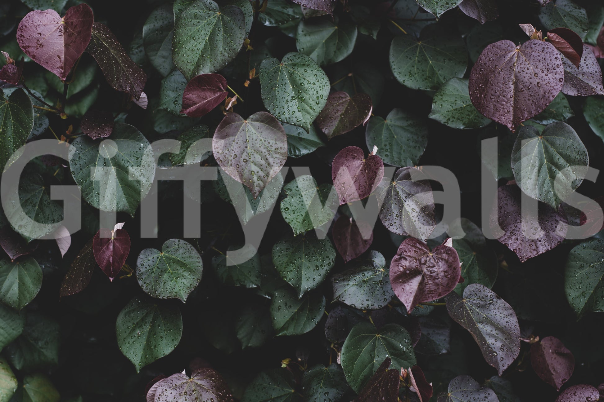 A high-quality minimalist wall mural for walls.

