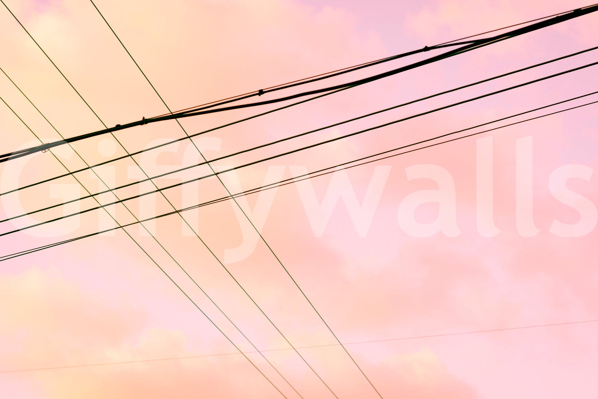 A high-quality minimalist wall mural for walls.

