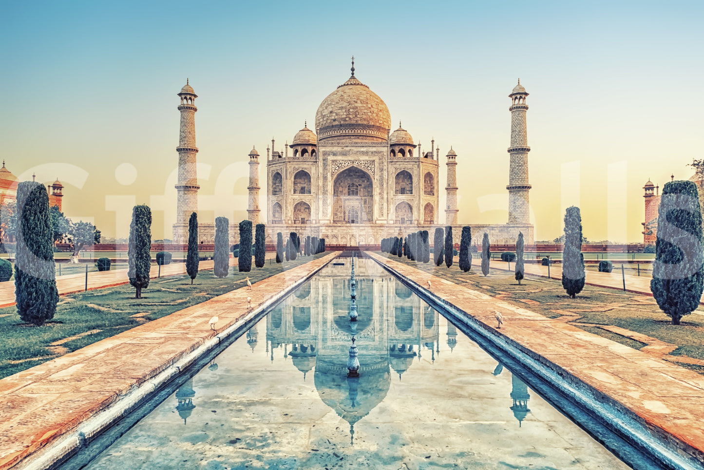 Taj Mahal: Reflection Serenity Wall Mural