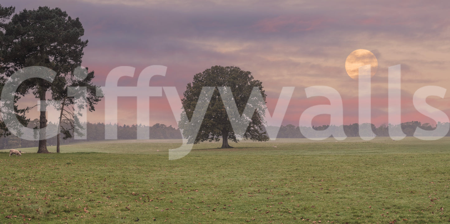 A high-quality peaceful night wall mural for walls.

