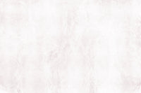 A high-quality minimalist wall mural for walls.

